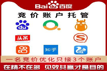 高效百度推广案例解析及优化策略